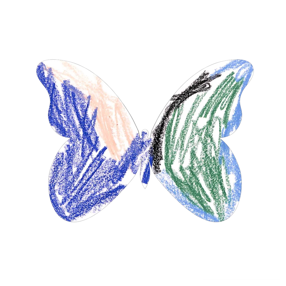 Original Butterfly Image