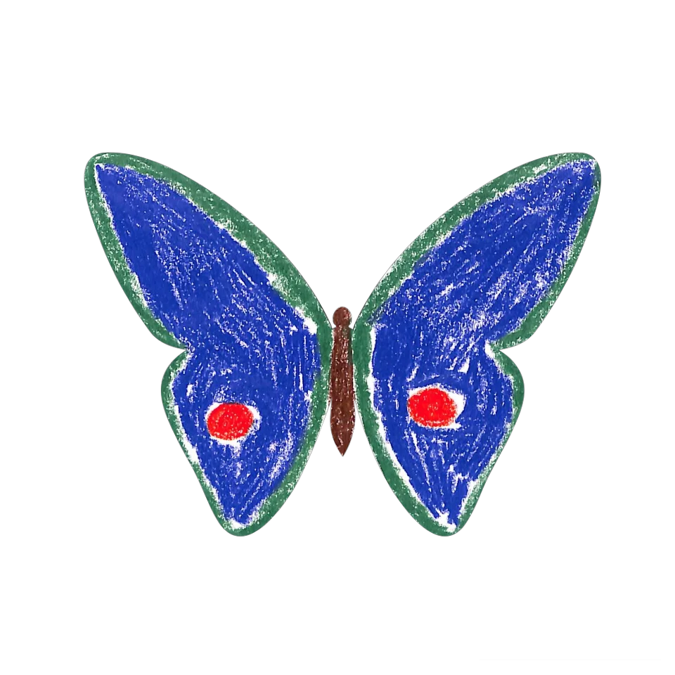 Original Butterfly Image