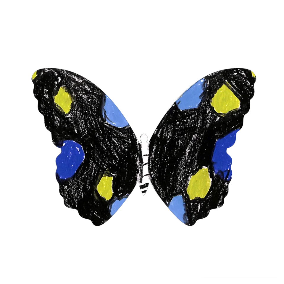 Original Butterfly Image