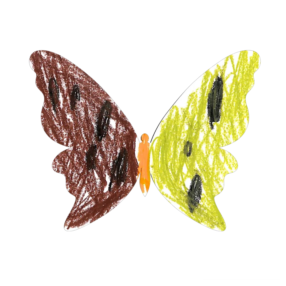Original Butterfly Image