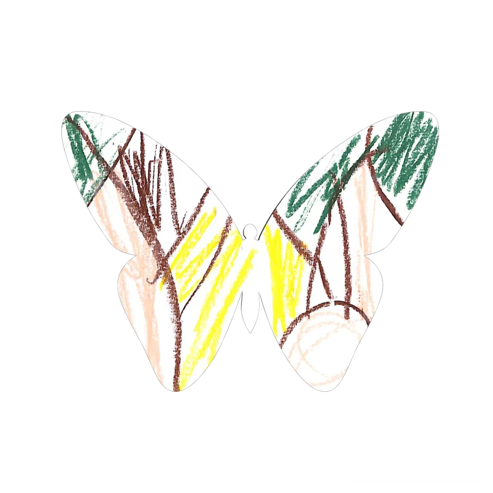 Original Butterfly Image