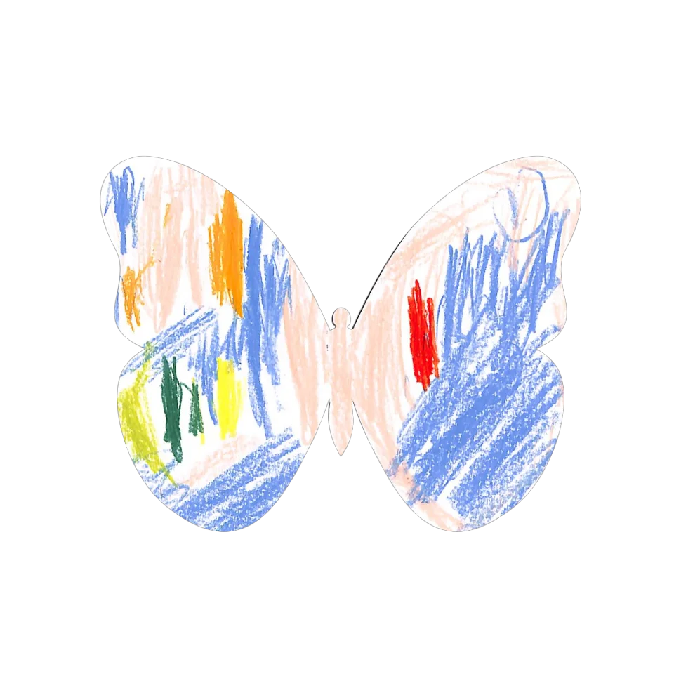 Original Butterfly Image