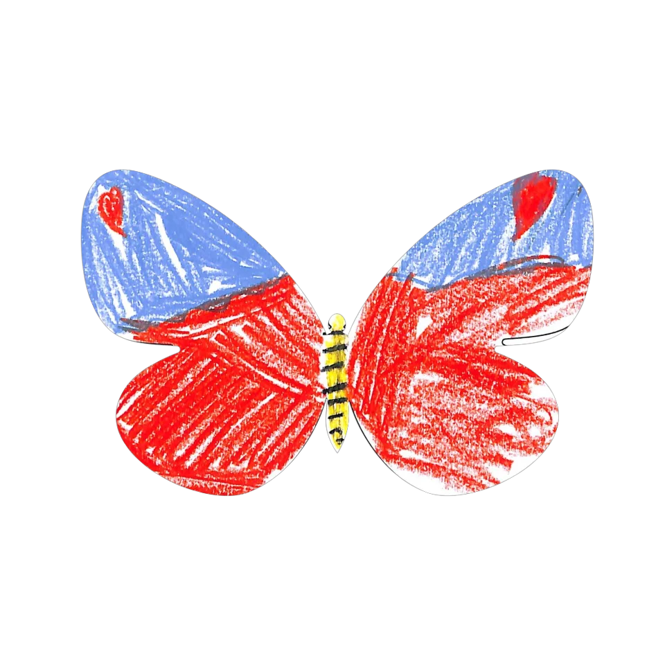 Original Butterfly Image