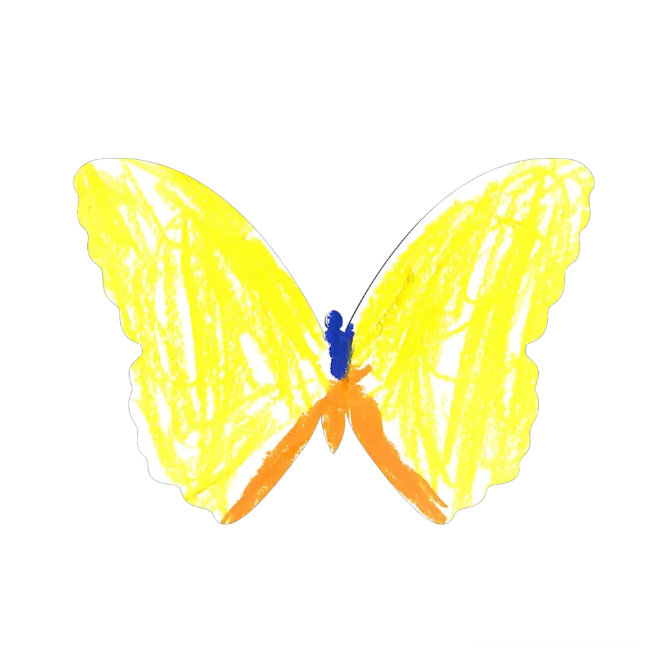 Original Butterfly Image