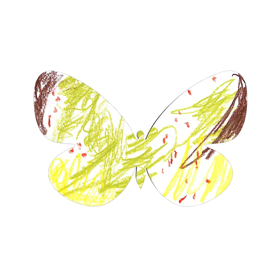 Original Butterfly Image