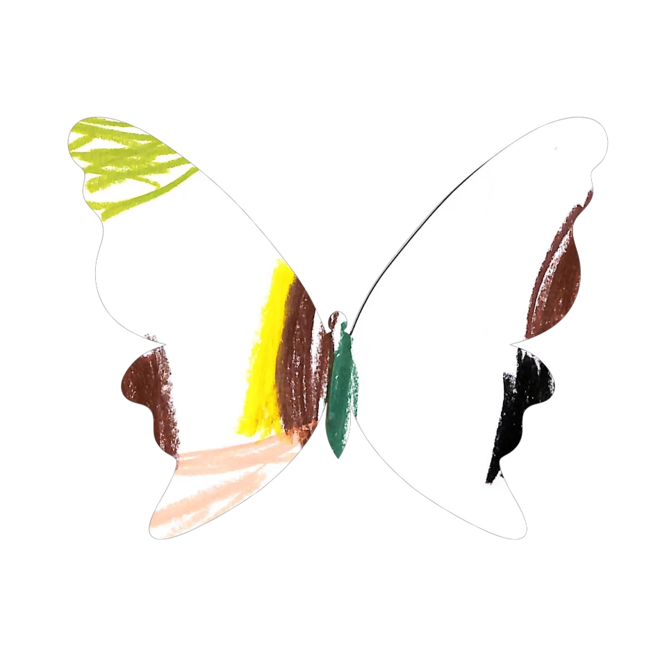 Original Butterfly Image