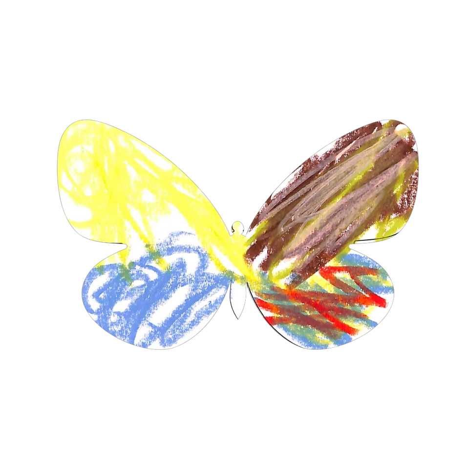 Original Butterfly Image