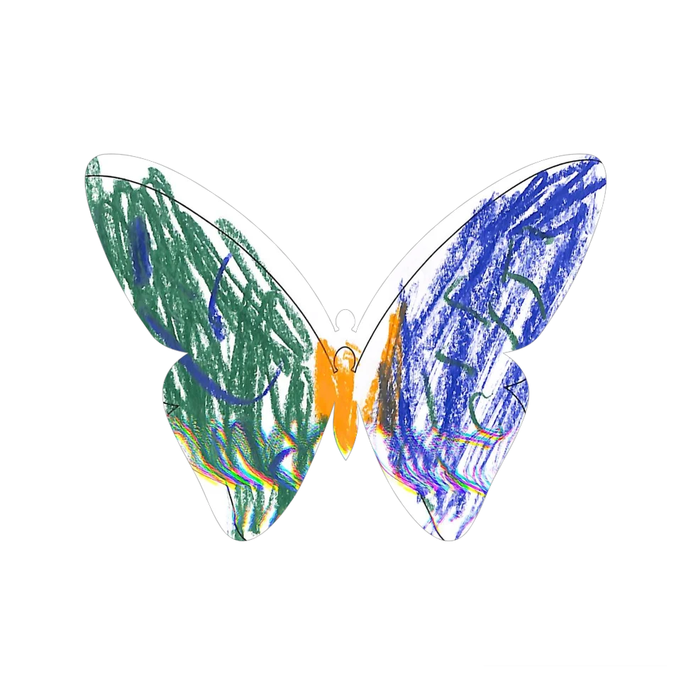 Original Butterfly Image