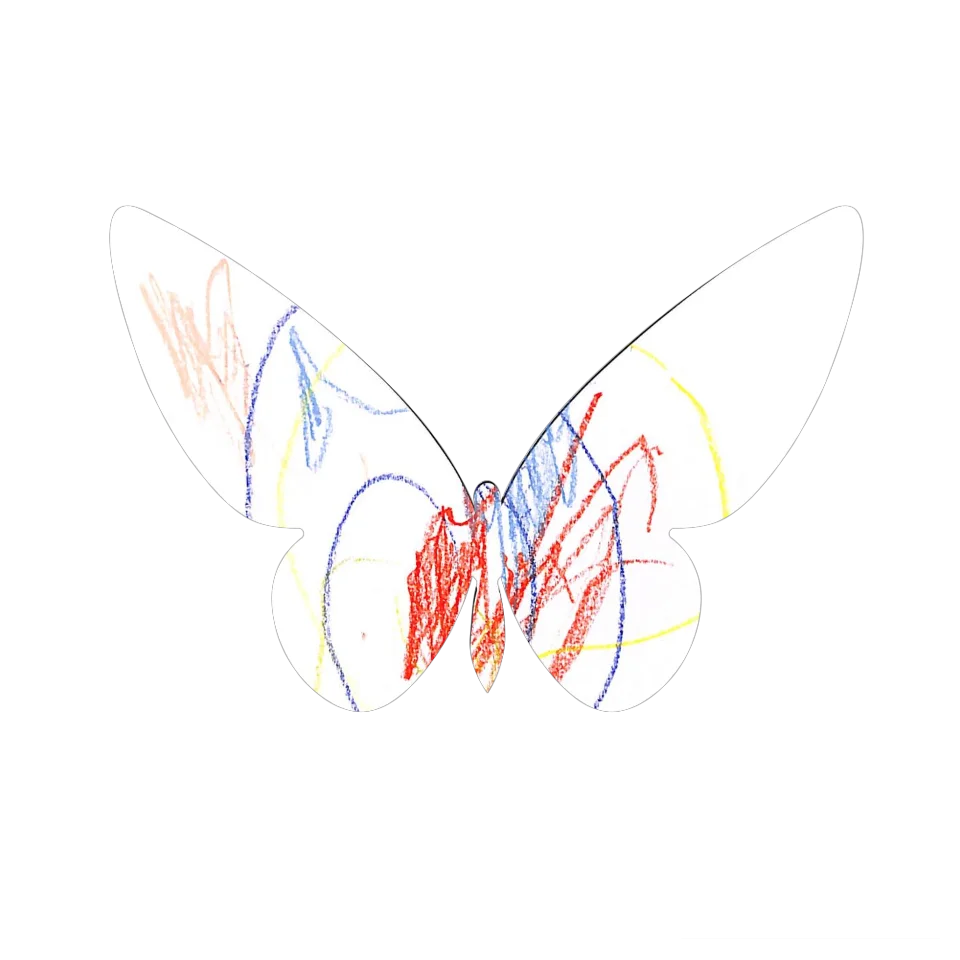 Original Butterfly Image
