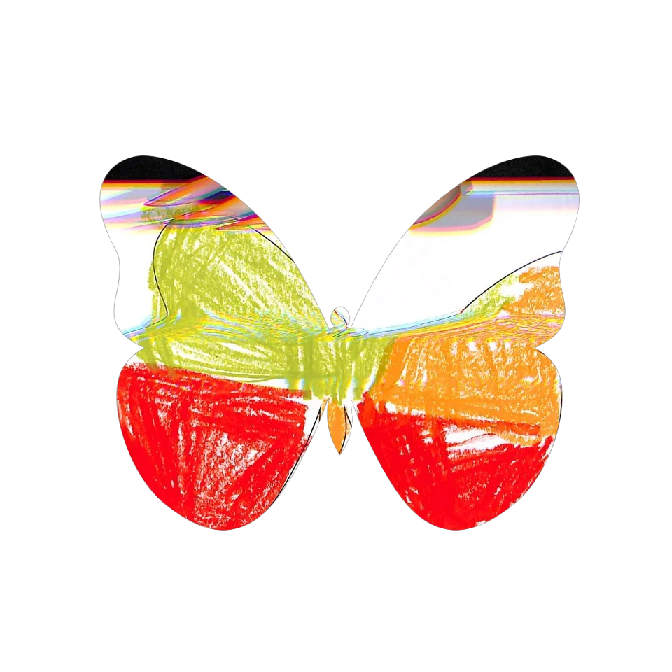 Original Butterfly Image