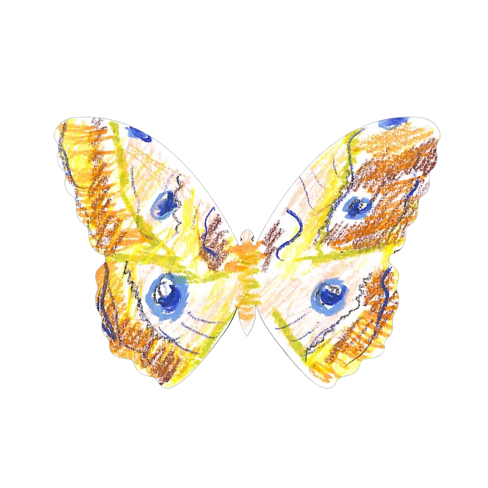 Original Butterfly Image