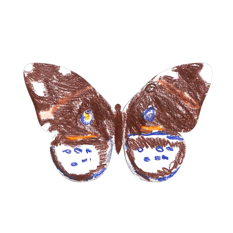 Original Butterfly Image