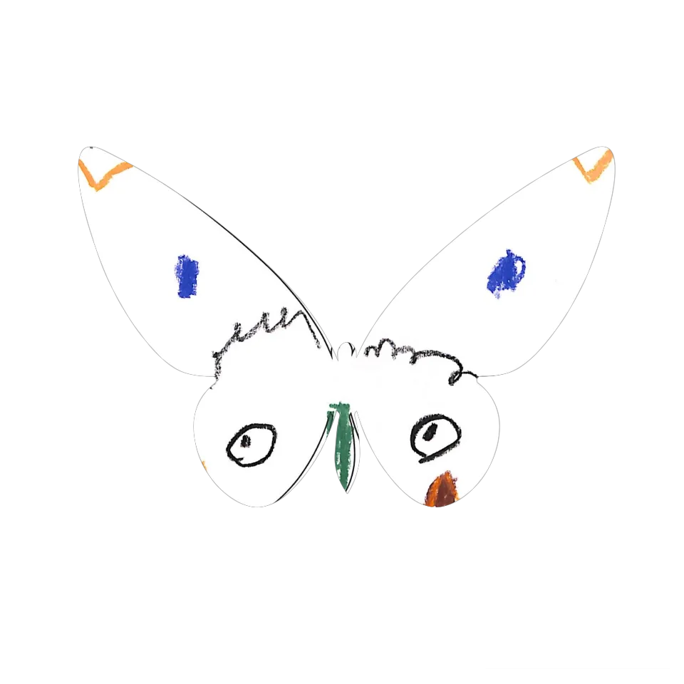 Original Butterfly Image