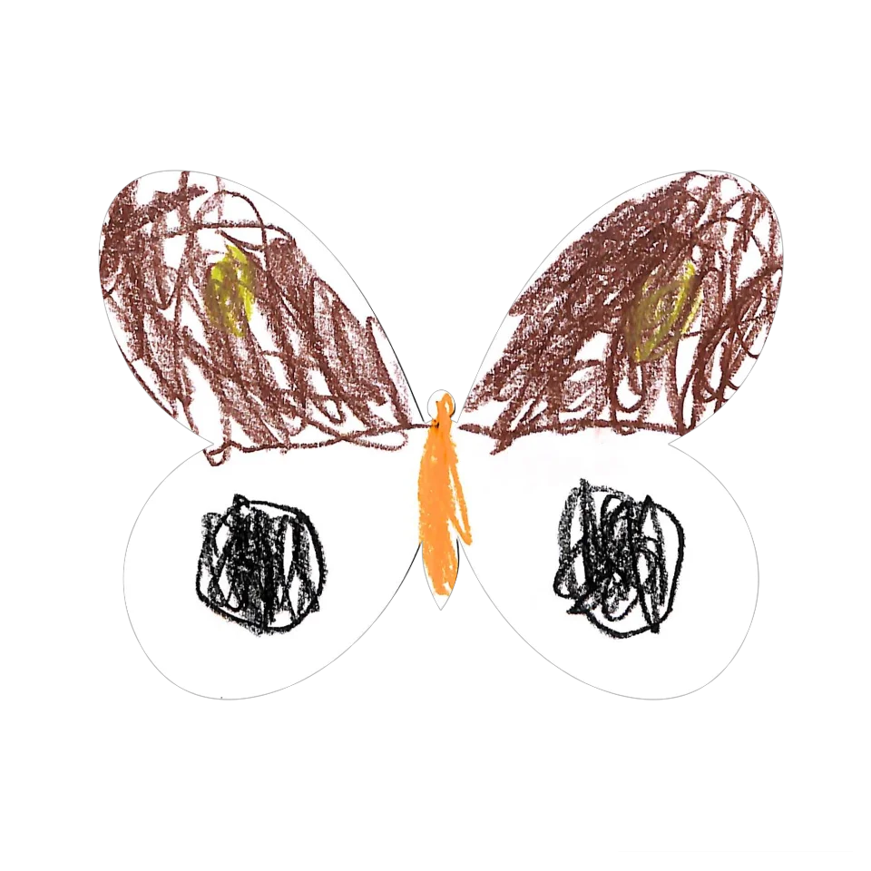Original Butterfly Image