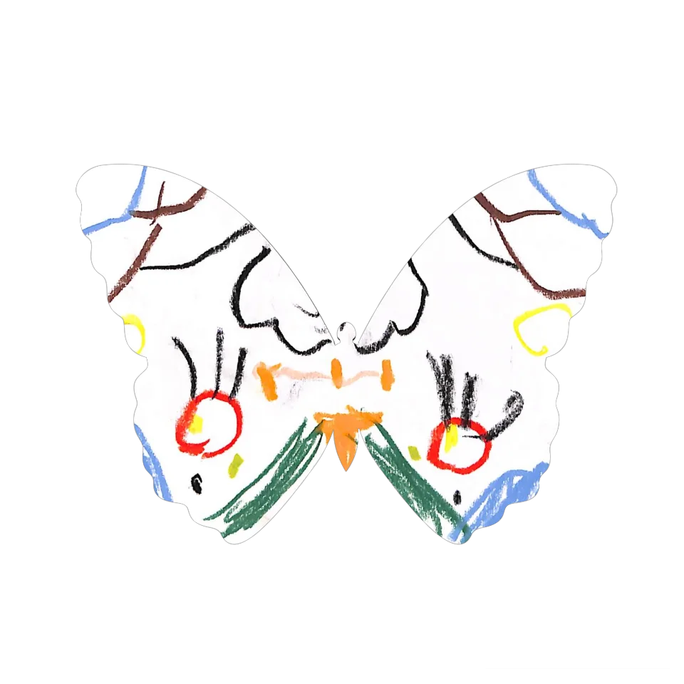 Original Butterfly Image