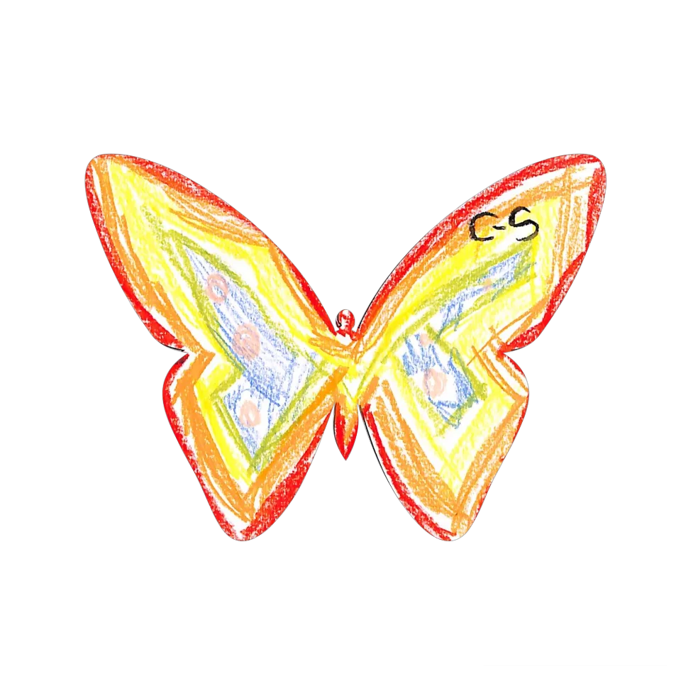 Original Butterfly Image