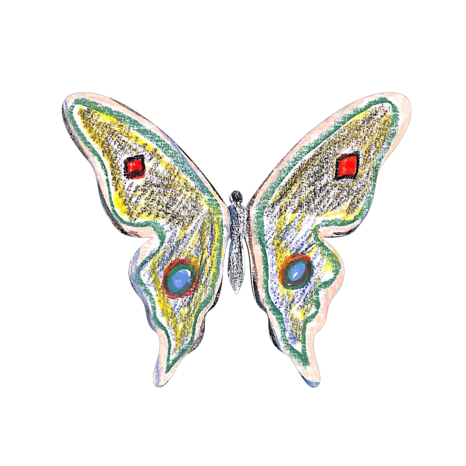 Original Butterfly Image