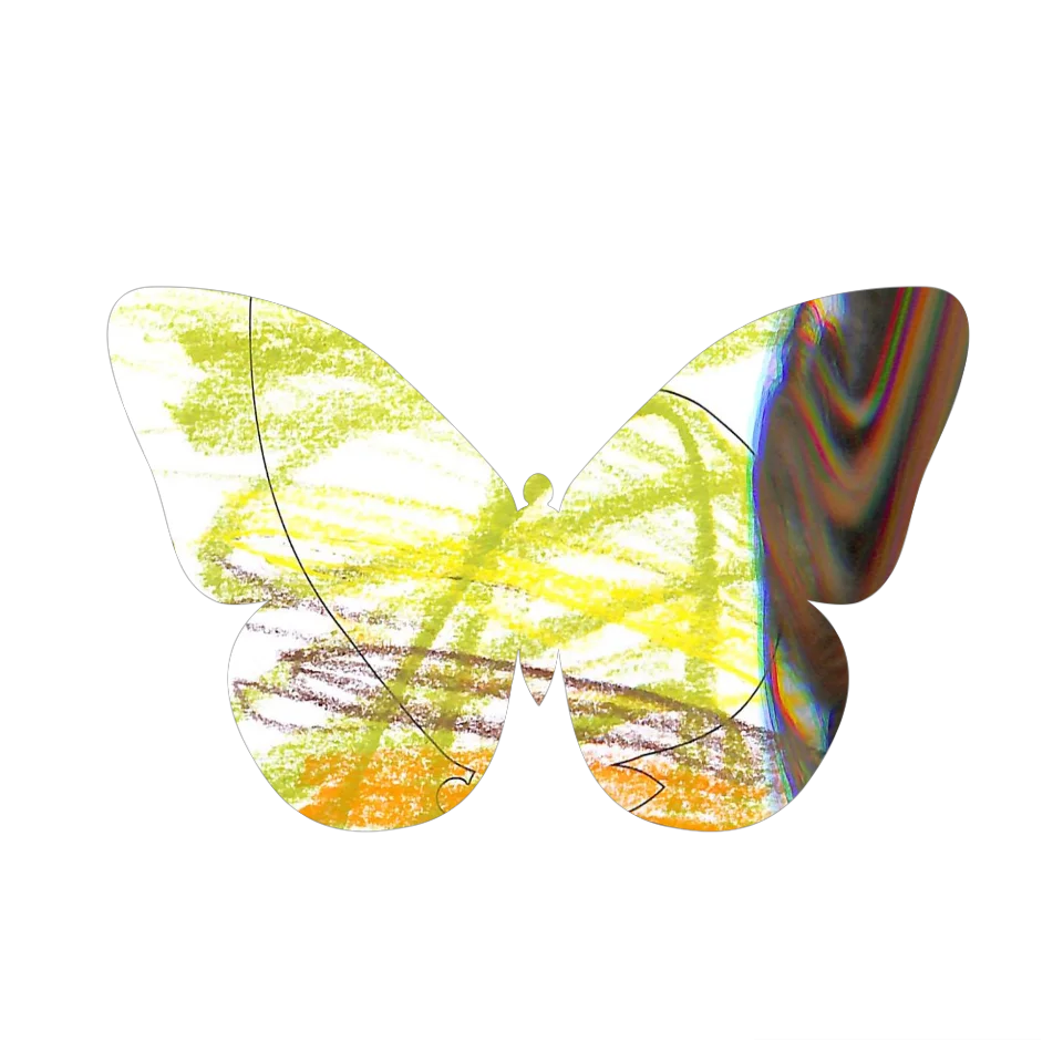 Original Butterfly Image