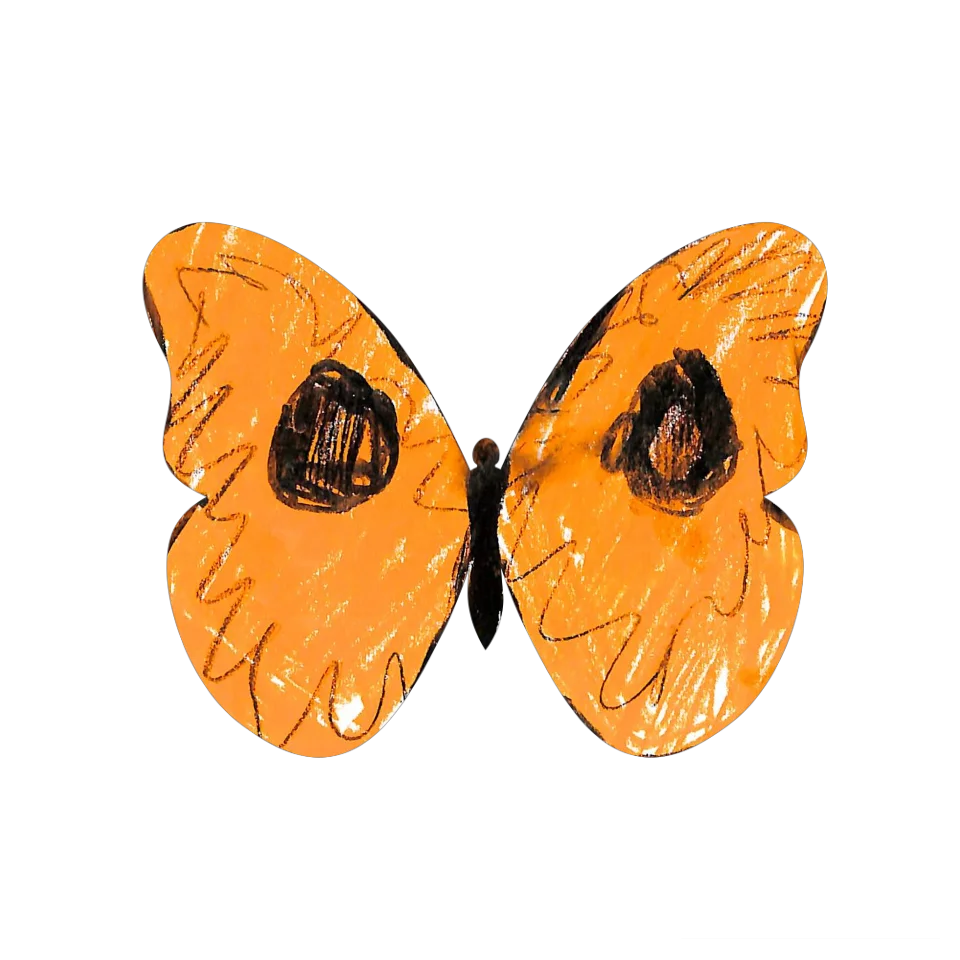 Original Butterfly Image