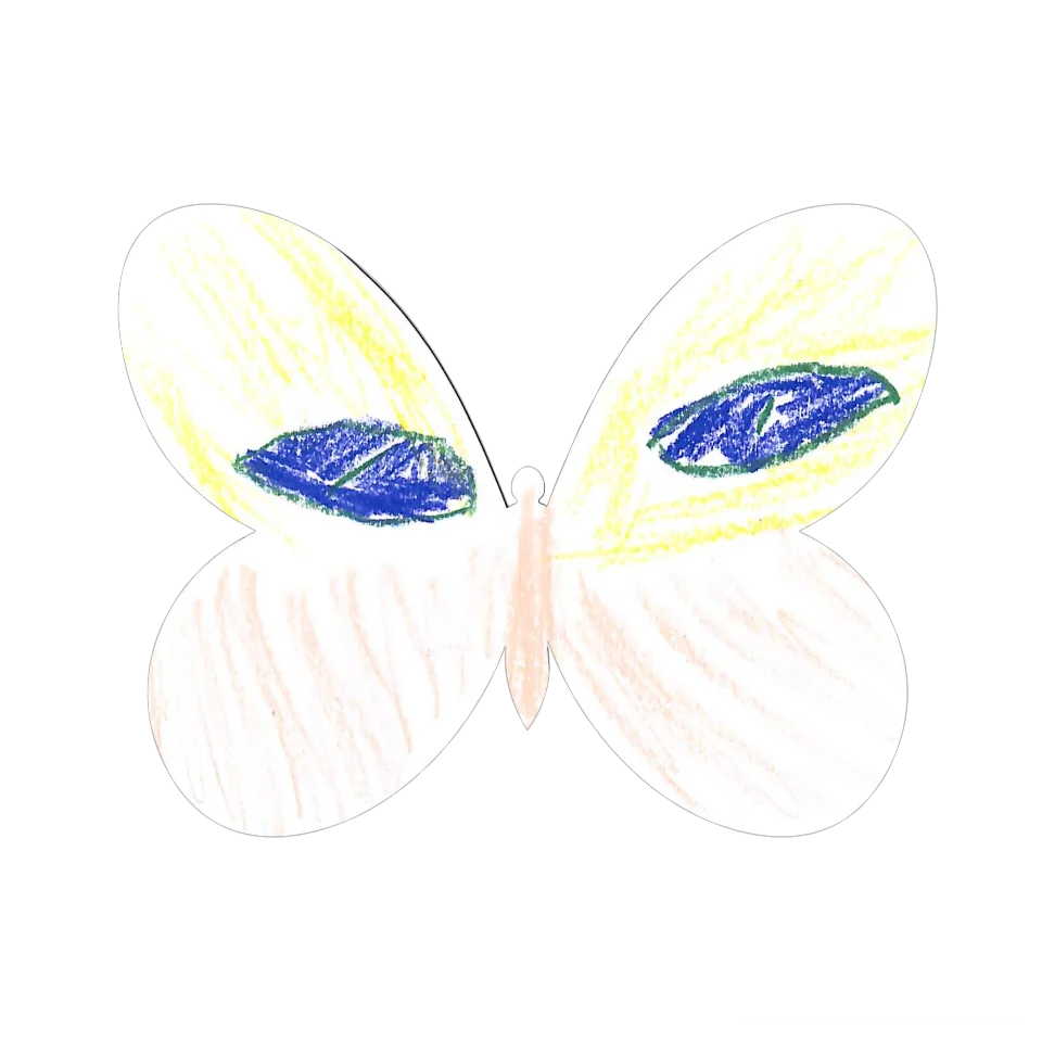 Original Butterfly Image
