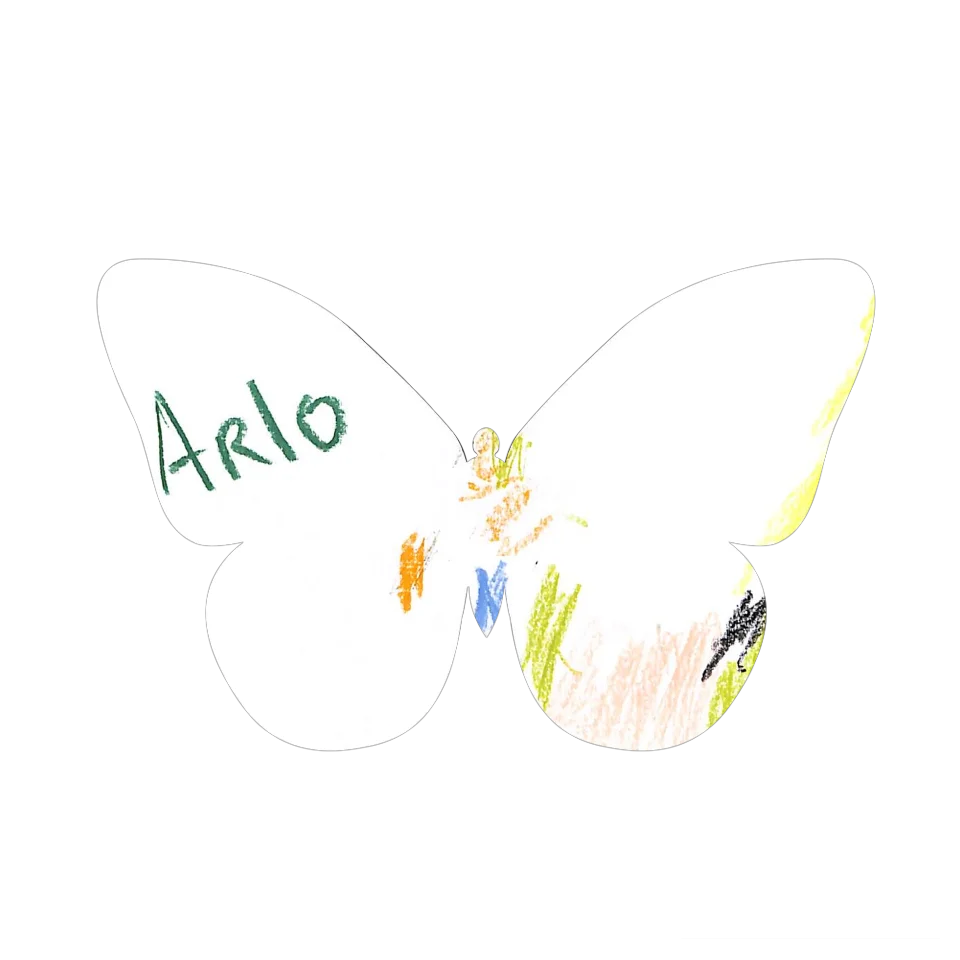 Original Butterfly Image