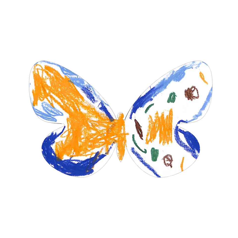 Original Butterfly Image