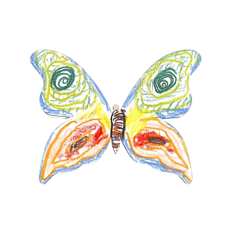 Original Butterfly Image