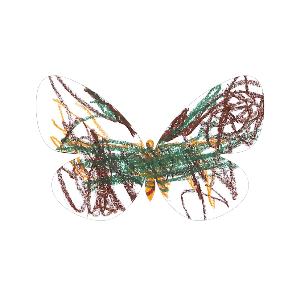 Original Butterfly Image