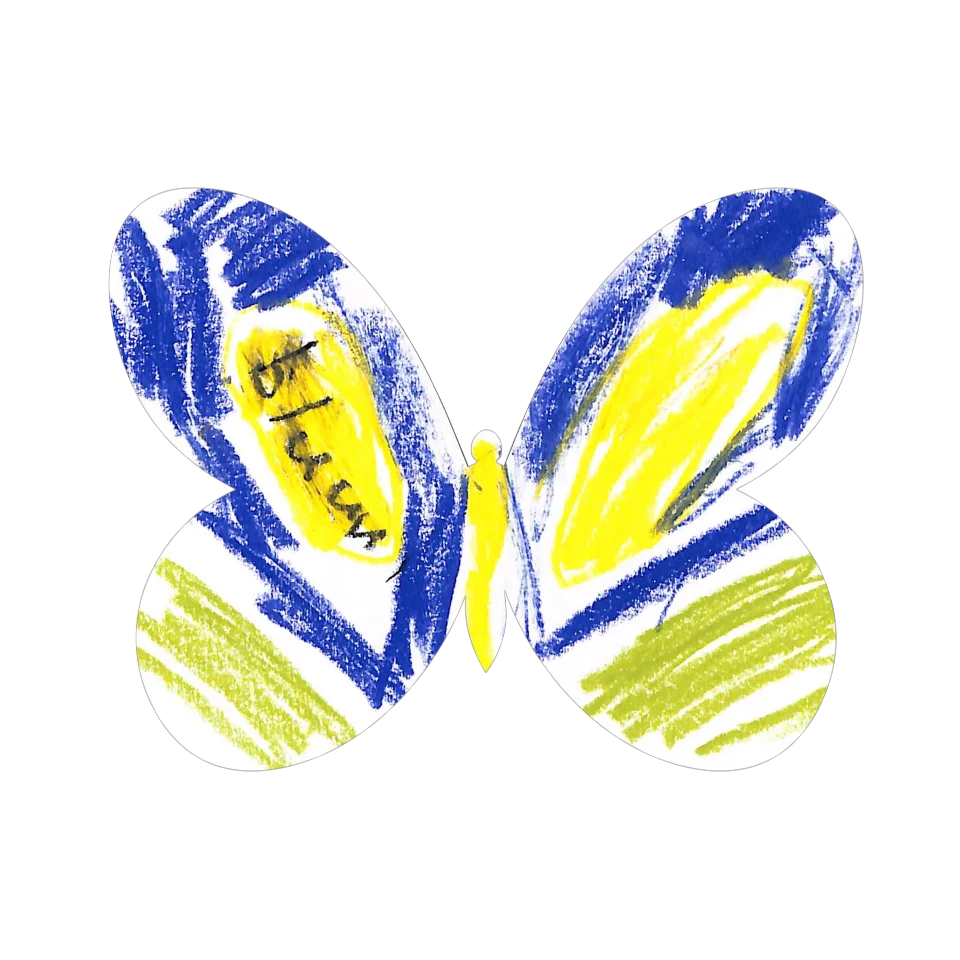 Original Butterfly Image