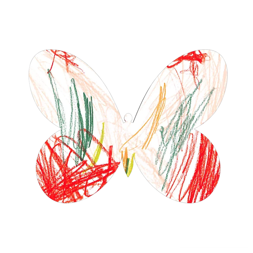 Original Butterfly Image