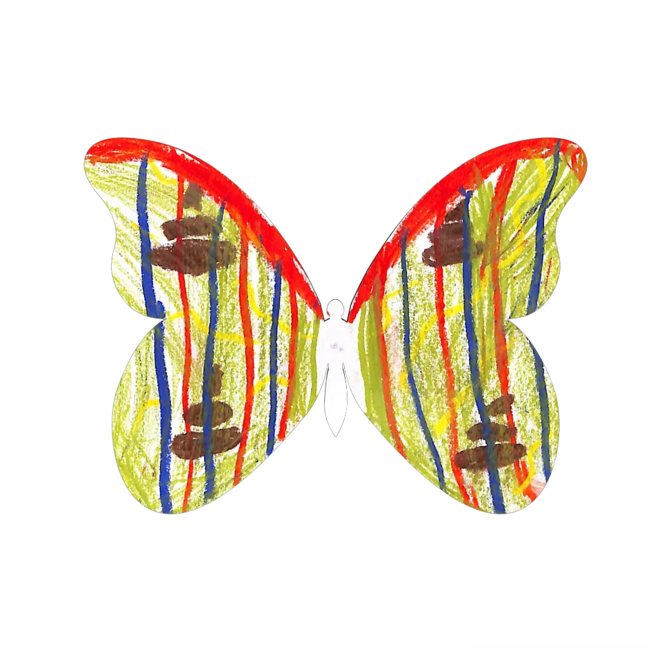 Original Butterfly Image