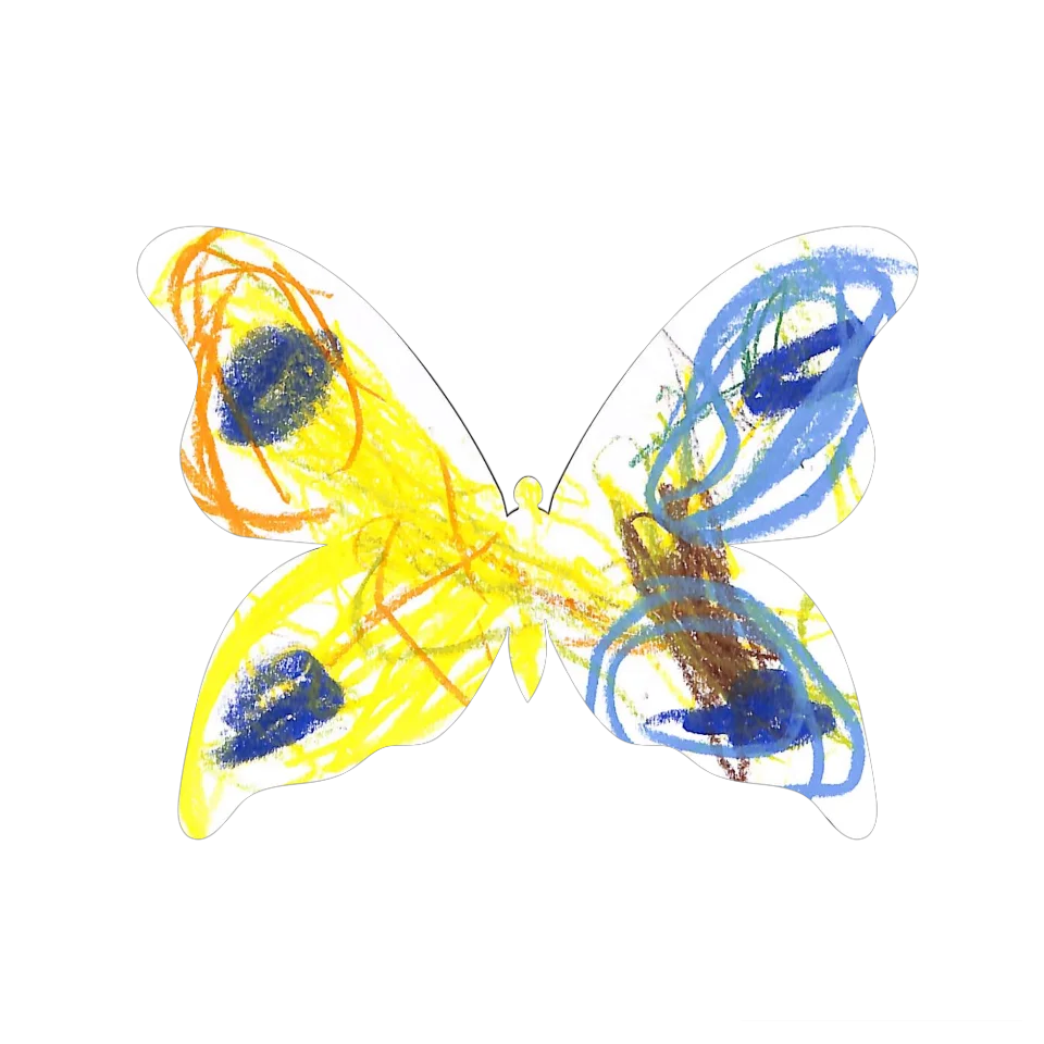 Original Butterfly Image