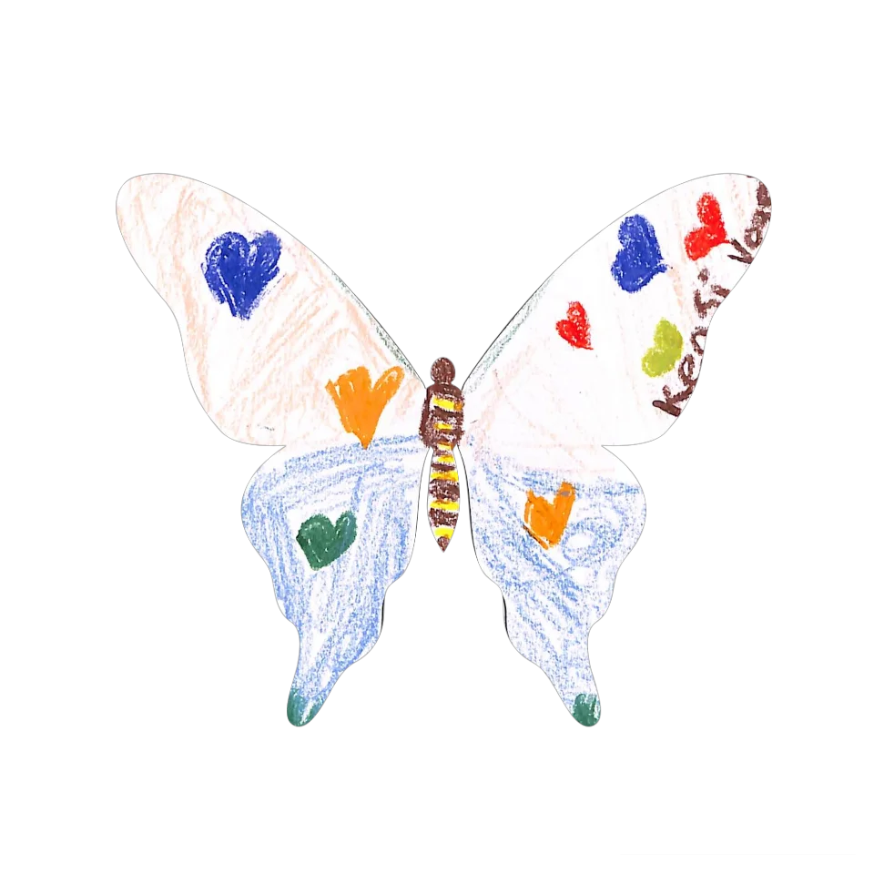 Original Butterfly Image