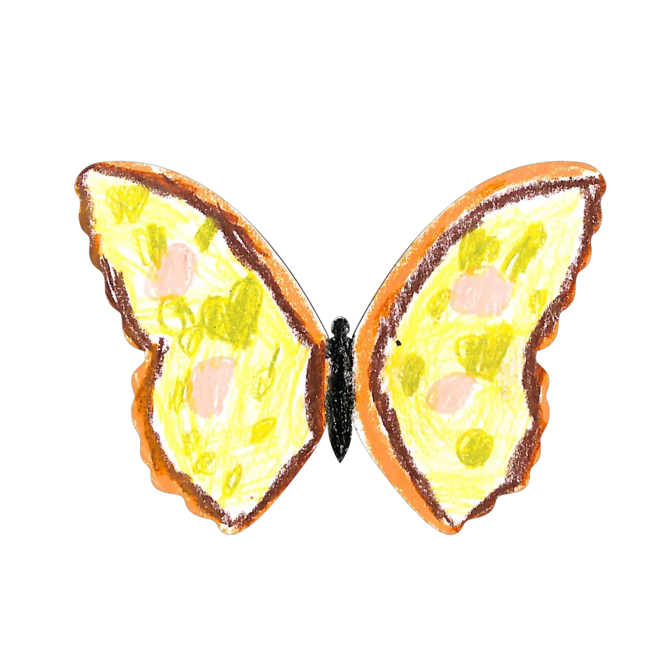 Original Butterfly Image