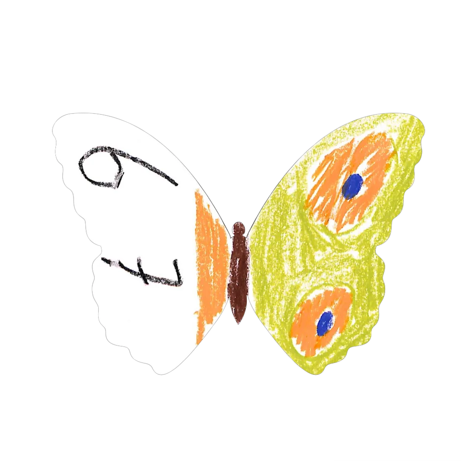 Original Butterfly Image