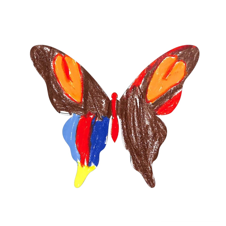 Original Butterfly Image