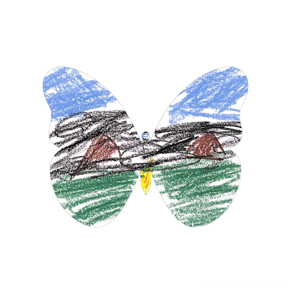 Original Butterfly Image