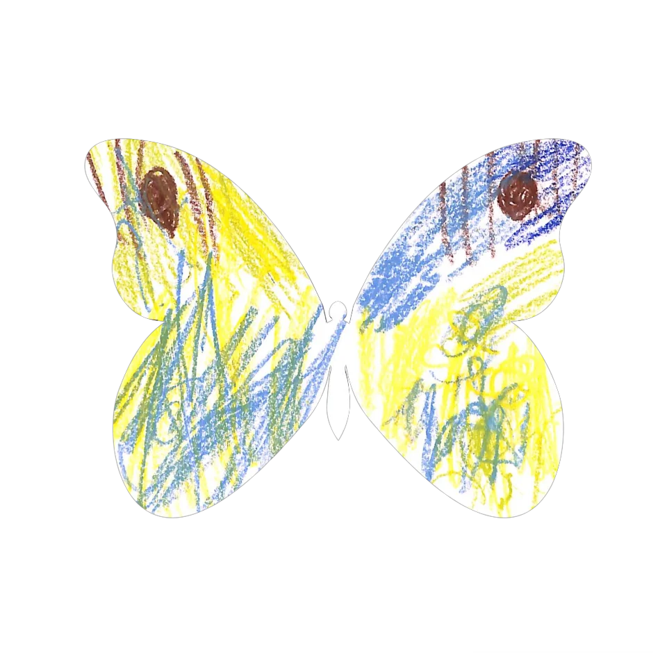 Original Butterfly Image