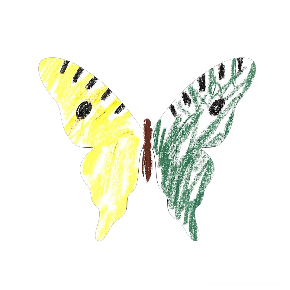 Original Butterfly Image