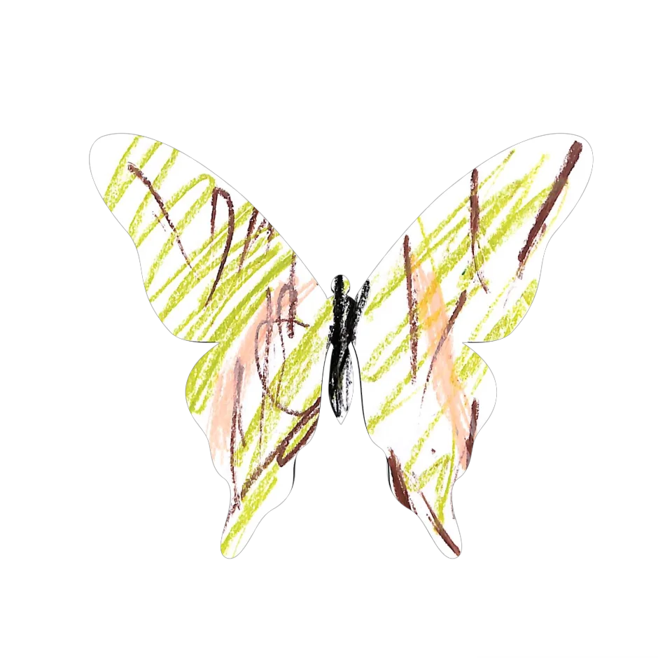Original Butterfly Image