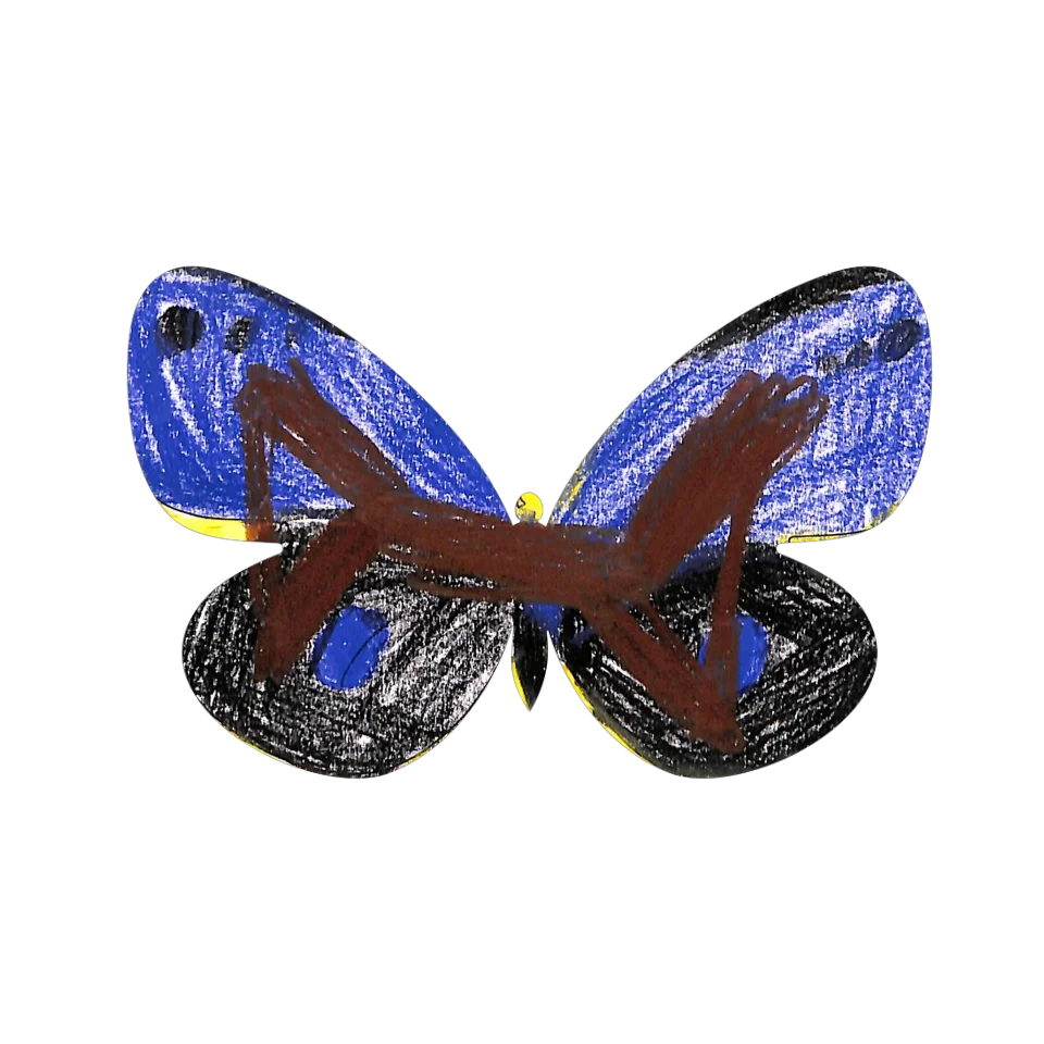 Original Butterfly Image