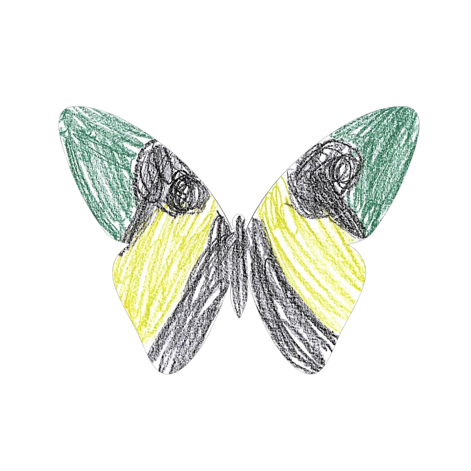 Original Butterfly Image