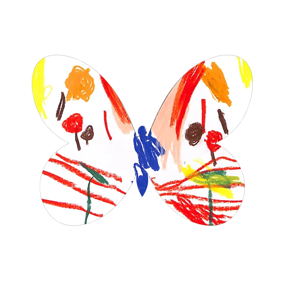 Original Butterfly Image