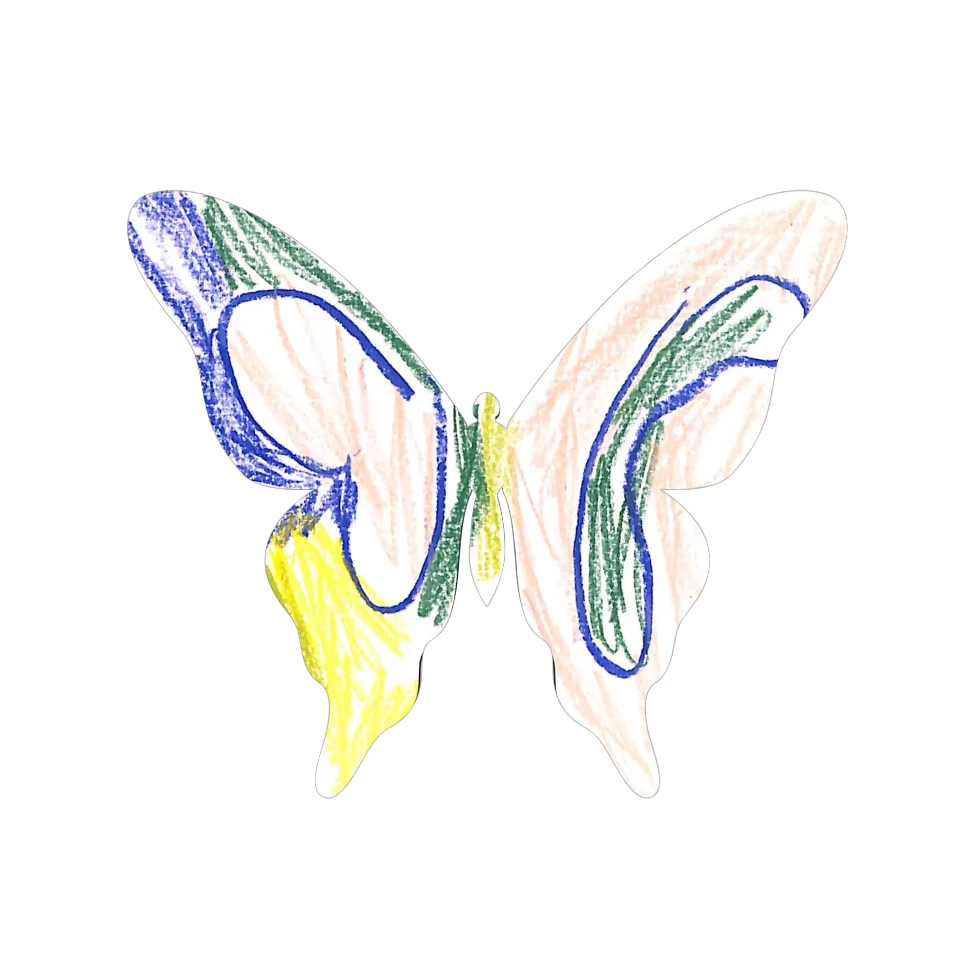 Original Butterfly Image