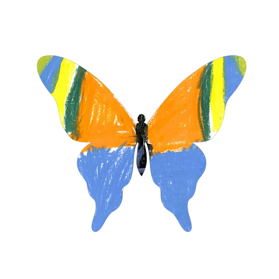 Original Butterfly Image