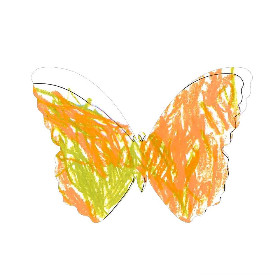 Original Butterfly Image