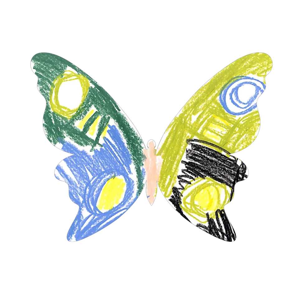Original Butterfly Image