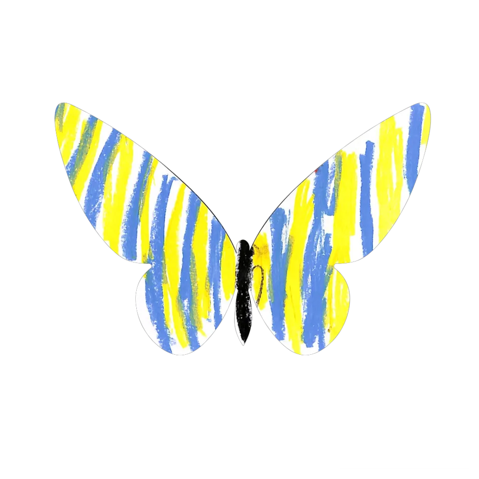 Original Butterfly Image