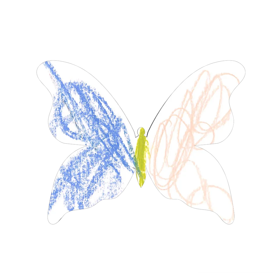 Original Butterfly Image