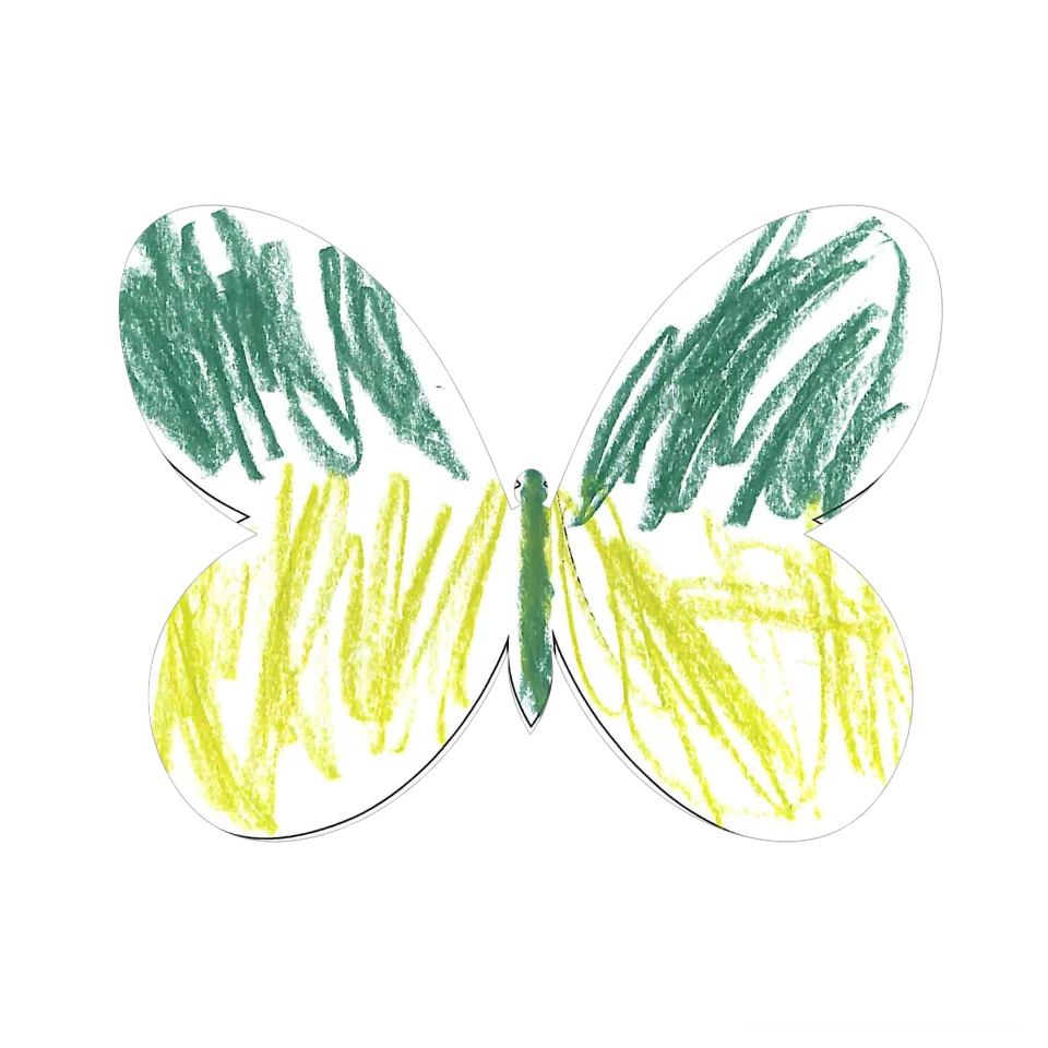 Original Butterfly Image